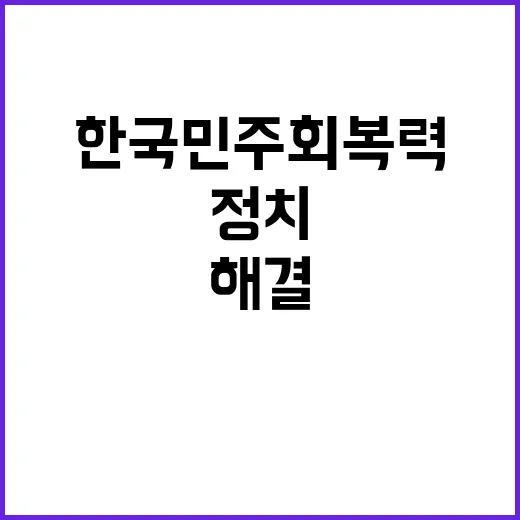 한국 민주 회복력 미국의 기쁨 평화적 정치 해결!