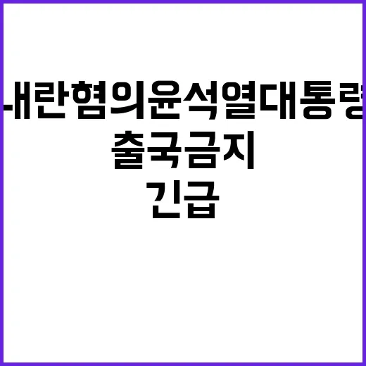 내란 혐의 윤석열 대통령 출국금지 긴급 발표 