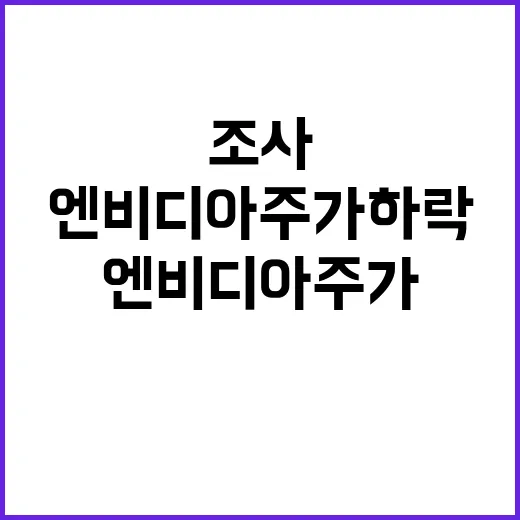 엔비디아 주가 하락 중국 조사로 반등 가능성?