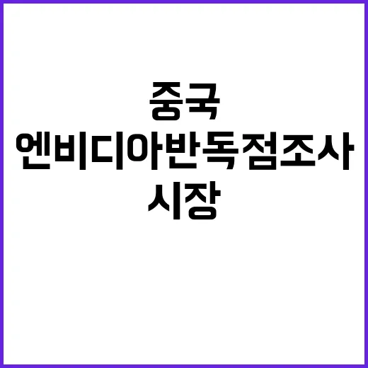 중국 엔비디아 반독점 조사 글로벌 시장의 파장?