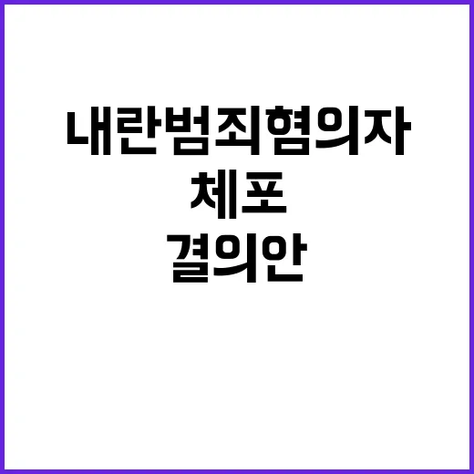 내란범죄혐의자 체포 결의안 국힘 반대 이유는?