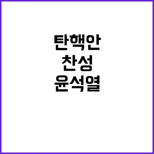 윤석열 탄핵안 여당…