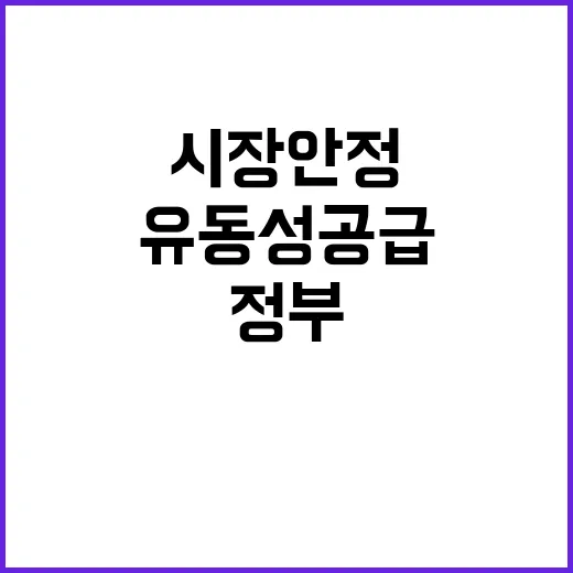 정부 유동성 공급 …