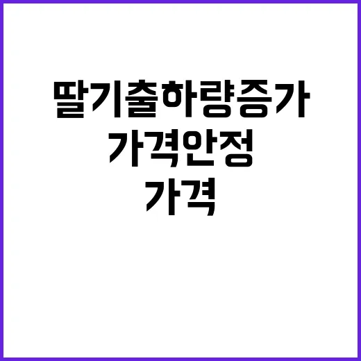 딸기 출하량 증가 …