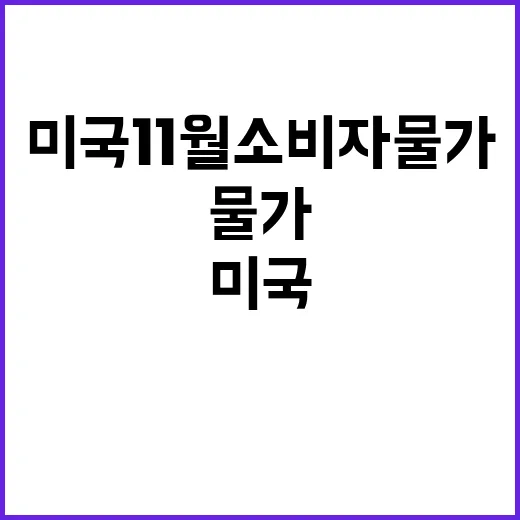 미국 11월 소비자…