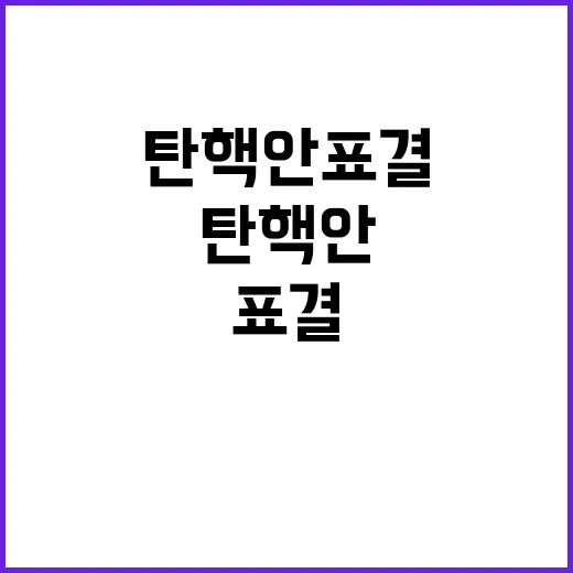 탄핵안 표결 여당 …