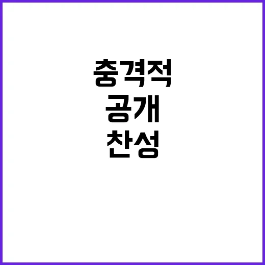 공개 찬성 이들의 …