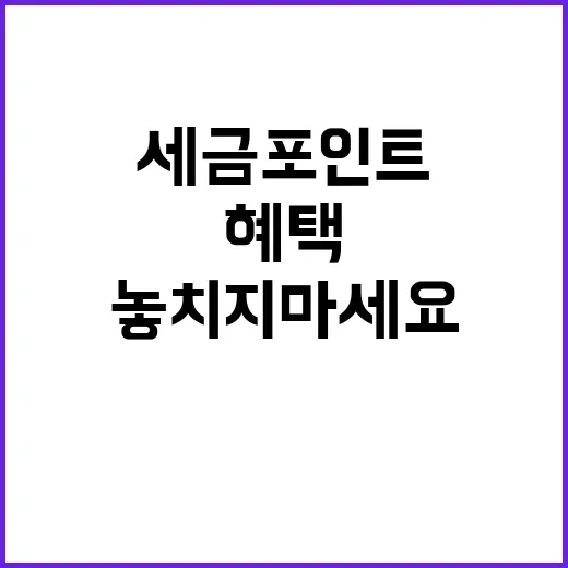 세금포인트 캠핑장 …