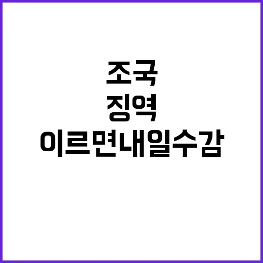 조국 징역 이르면 …