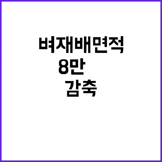 벼 재배면적 변화 …