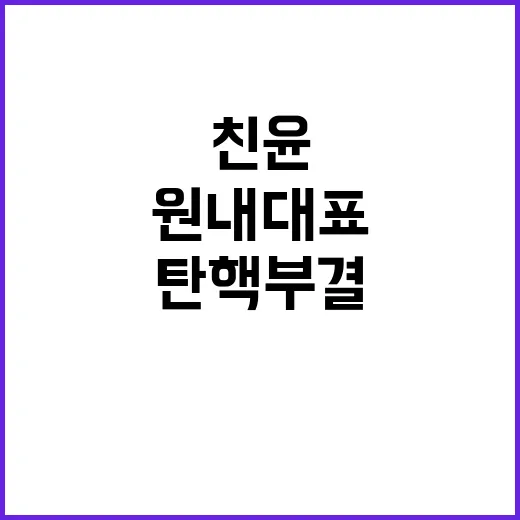 친윤 원내대표 탄핵…