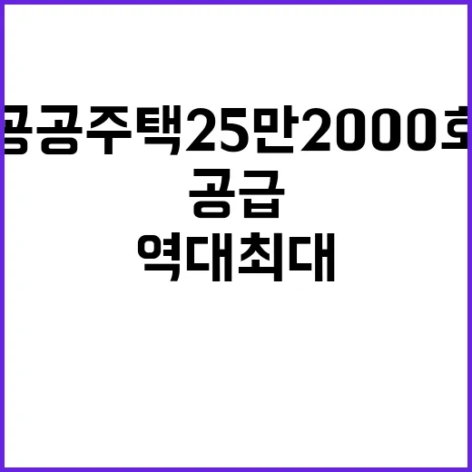 공공주택 25만 2…