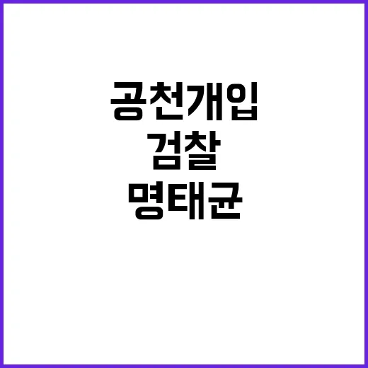 명태균 황금폰 검찰…