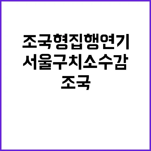 조국 형집행 연기 서울구치소 수감 결정!