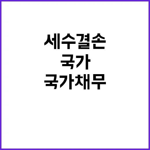 국가채무 진실 세수…