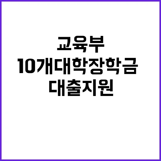 교육부 발표 10개 대학 장학금·대출 지원 충격!