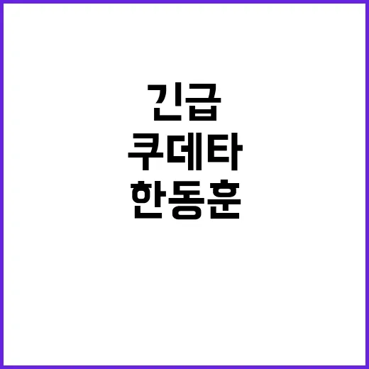 한동훈 쿠데타 의혹…