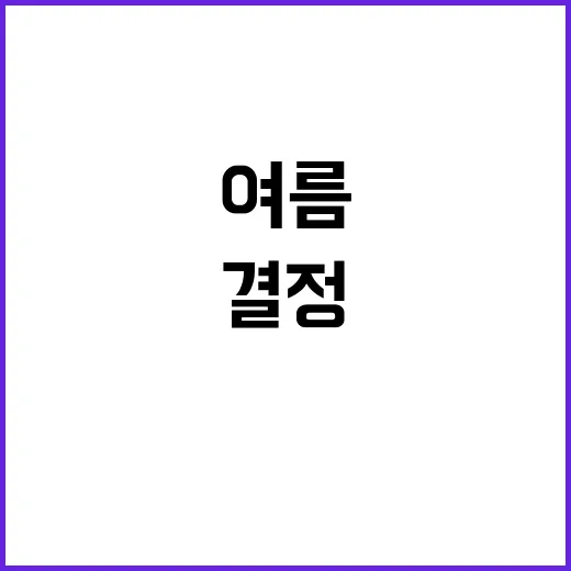 헌재 결정 봄의 레…