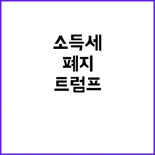 트럼프 소득세 폐지 주장? 새로운 세금 혁명!