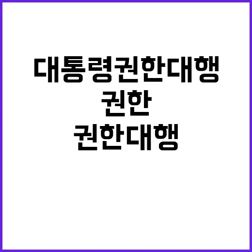 대통령 권한대행 발표 위기 속의 새로운 시작!