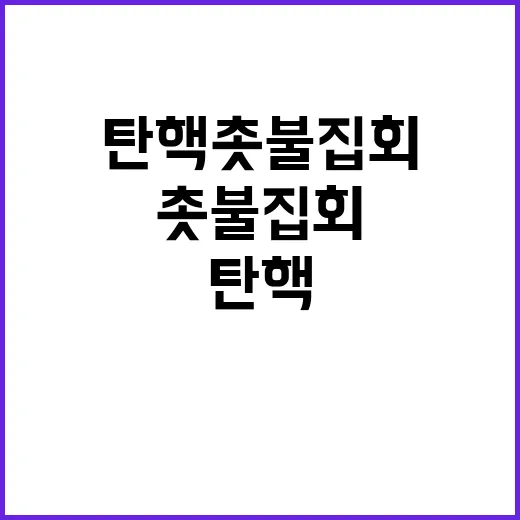 탄핵 촛불집회 울산의 외침! 오늘은 된다