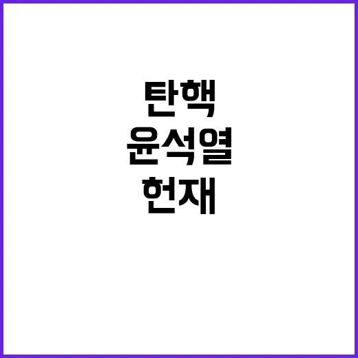 헌재 결정 윤석열 …