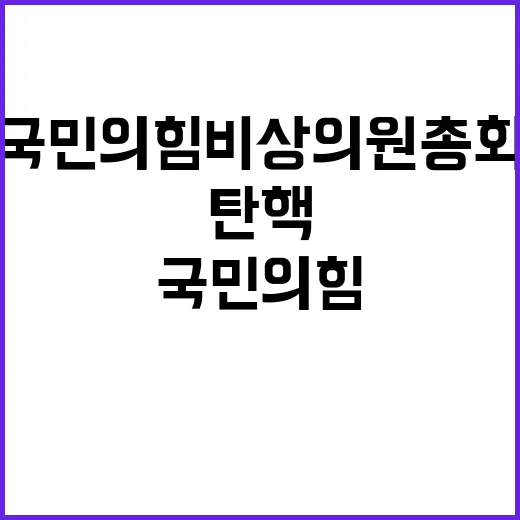 국민의힘 비상의원총회 탄핵 정국 혼란 해결!