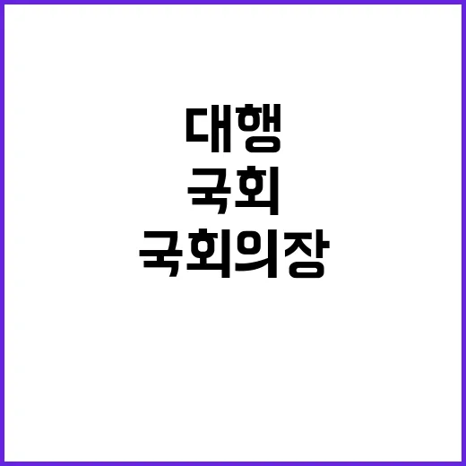 국회의장대행 국회 …