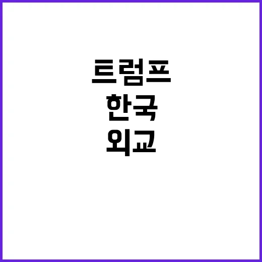 트럼프 정부 한국 외교 권한대행 체제의 비밀