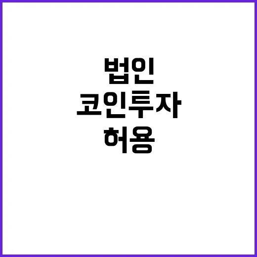 코인 투자 법인 허…