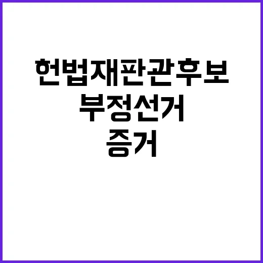 부정선거 논란 헌법…