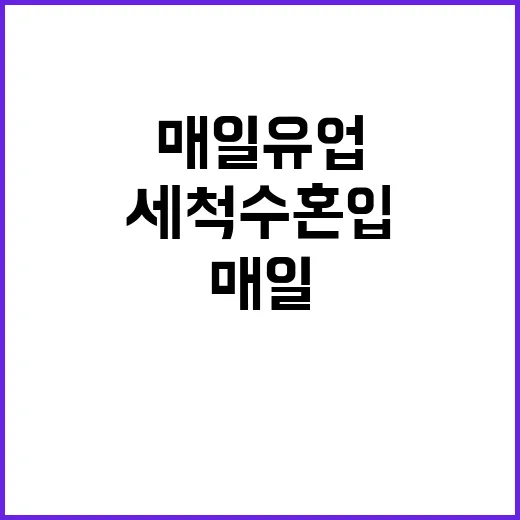 매일유업 우유 회수…