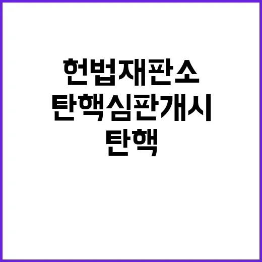 헌법재판소 운명의 …