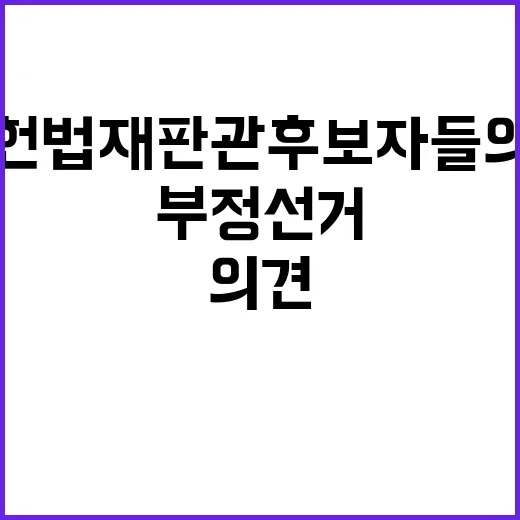 부정선거 논란 헌법…