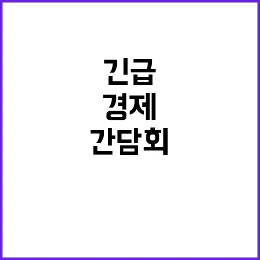 긴급 경제 간담회 …