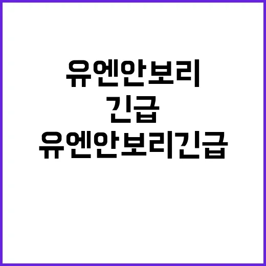 암살 사건 유엔 안…