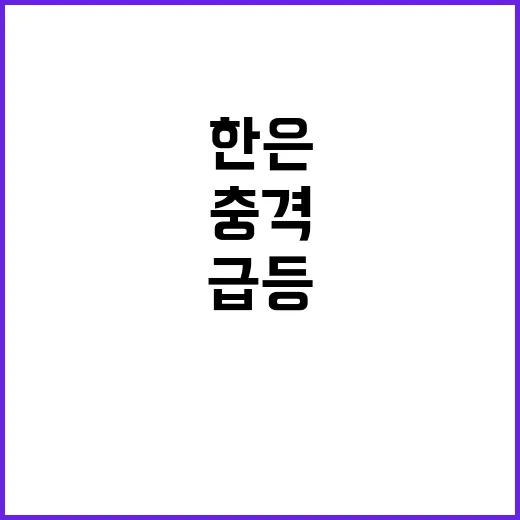 한은 경고 저가상품…