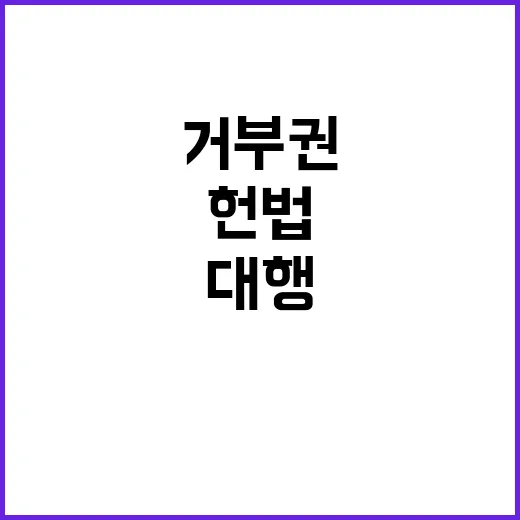 헌법 야당 거부권 …