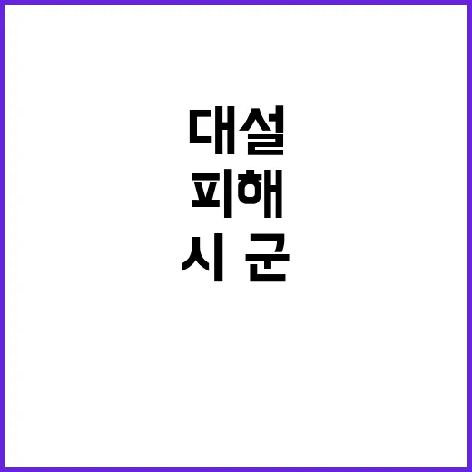 대설피해 시·군 특…