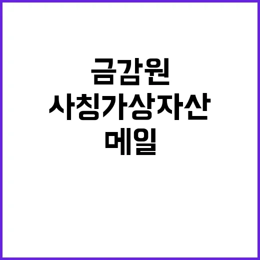 금감원 사칭 가상자…