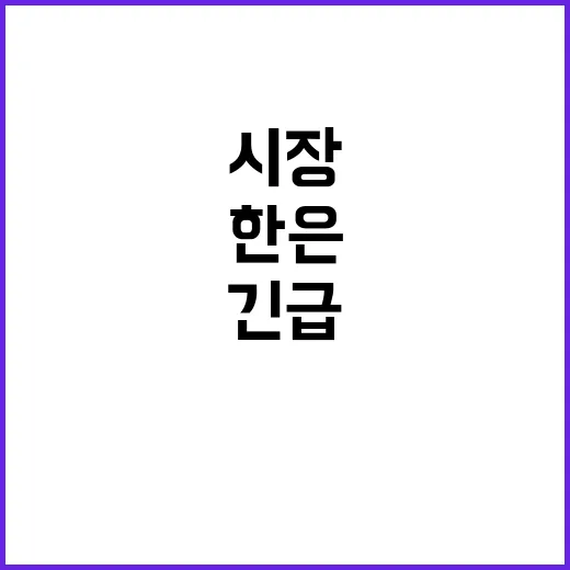 시장 변동 한은 긴…