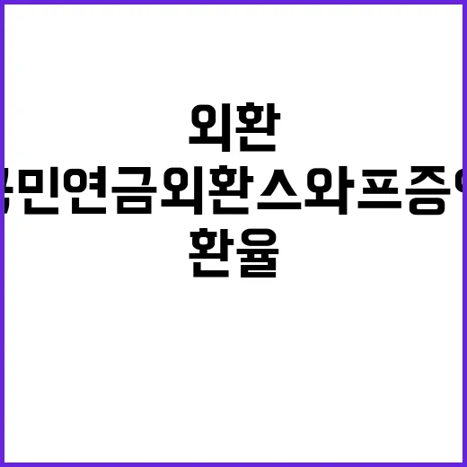 국민연금 외환스와프…