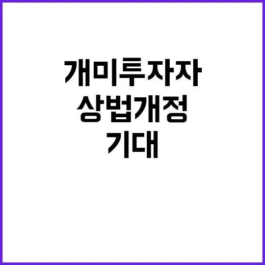 상법 개정 개미 투…