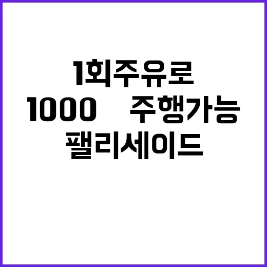 팰리세이드 1회 주…