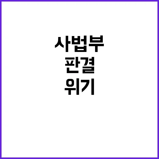 사법부 판결 기업 …