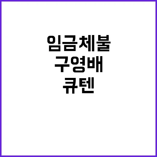 큐텐 구영배 세 번…