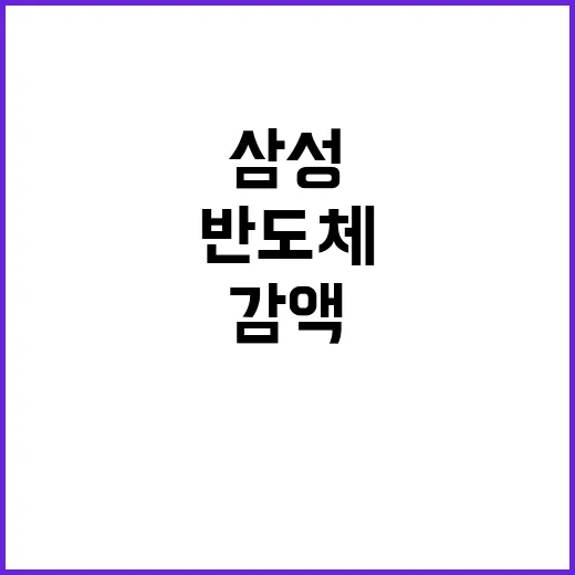 삼성 반도체 감액 …