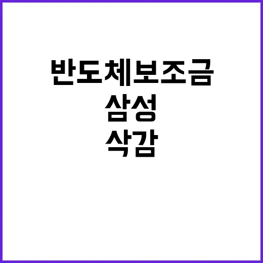 삼성 반도체 보조금…