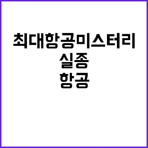 실종 여객기 재수색…