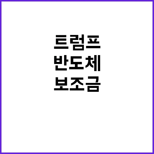 삼성 반도체 보조금…